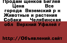 Продам щенков Биглей › Цена ­ 15 000 - Все города, Вяземский р-н Животные и растения » Собаки   . Челябинская обл.,Верхний Уфалей г.